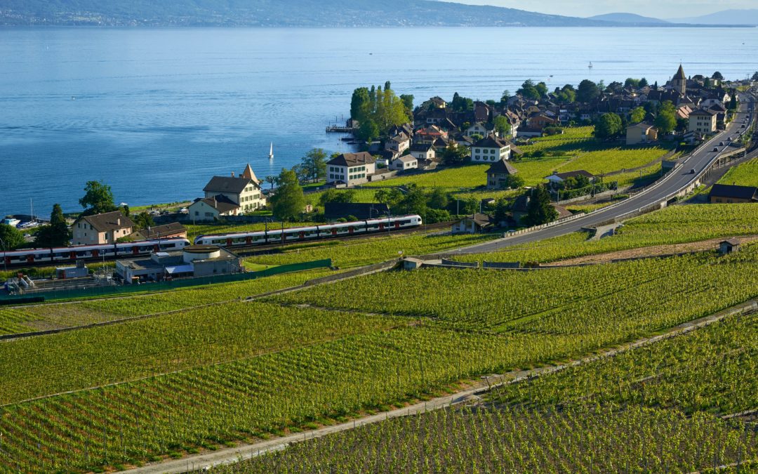 Pourquoi le prix des maisons est élevé en Suisse ?